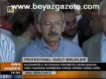 Profesyonel Hudut Birlikleri