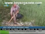 Tarım Arazilerini Dolu Vurdu