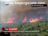 Yaz Kabusu Yangınlar