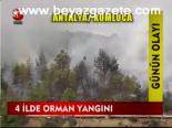 4 İlde Orman Yangını