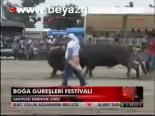 Boğa Güreşleri Festivali