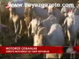 Motorize Cobanlar