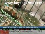 Hayvanlara Serinletme Sistemi