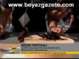 Böcek Festivali