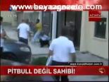 Pitbull Değil Sahibi!