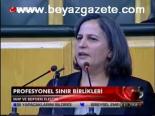 Profesyonel Sınır Birlikleri