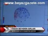 İnsan Beynininin Sınırları