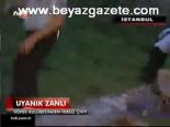 Uyanık Zanlı