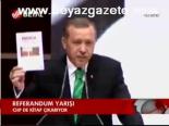 Referandum Yarışı