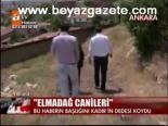 Elmadağ Canileri
