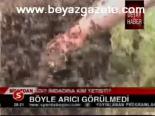 Böyle Arıcı Görülmedi
