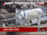 Eşeklere Parti