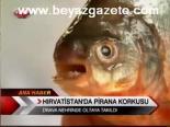 Hırvatistan'da Pirana Korkusu