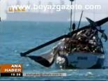Balina Tekneye Sıçradı