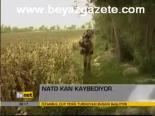 Nato Kan Kaybediyor