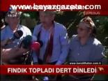 Fındık Topladı Dert Dinledi