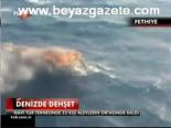 Denizde dehşet