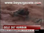 Sele 267 kurban