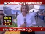 Şampiyon Limon Oldu