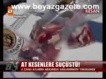 At Kesenlere Suçüstü!