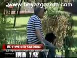 Rotweıler Saldırdı