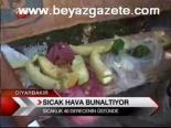 Sıcak Hava Bunaltıyor