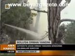 orman yangini - Bolu'da orman yangını Videosu