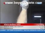 hava sicakliklari - Dünya Buğday Krizi Videosu