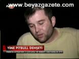 pitbull dehseti - Yine Pitbull Dehşeti Videosu