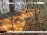 orman yanginlari - Rusya'daki Yangınlar Videosu