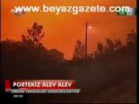 orman yangini - Portekiz ale alev Videosu