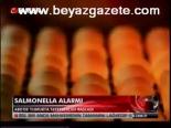 Salmonella Alarmı