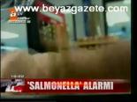 Salmonella Alarmı