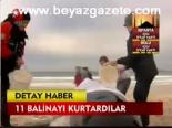 11 Balinayı Kurtardılar