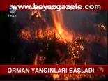 Orman Yangınları Başladı