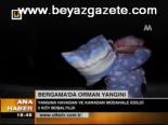 Bergama'da Orman Yangını