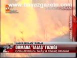 Ormana Talaş Tuzağı