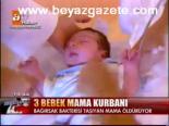 3 Bebek Mama Kurbanı