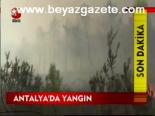Antalya'da Yangın