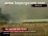 100 Hektar Kül Oldu