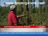 Doktordan Ahududu Üretimi