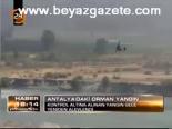 Antalya'daki Orman Yangını
