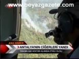 Antalya'nın Ciğerleri Yandı