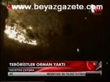 Teröristler Orman Yaktı