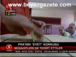 Pkk'nın Evet Korkusu