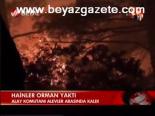 Hainler Orman Yaktı