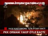 Pkk Ormanı Yakıp Öyle Kaçtı