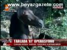 Tarlada At Operasyonu