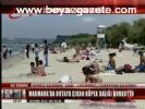 kopekbaligi - İstanbul'da Jaws paniği Videosu
