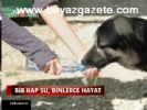 hava sicakliklari - Bir kap su,binlerce hayat Videosu
